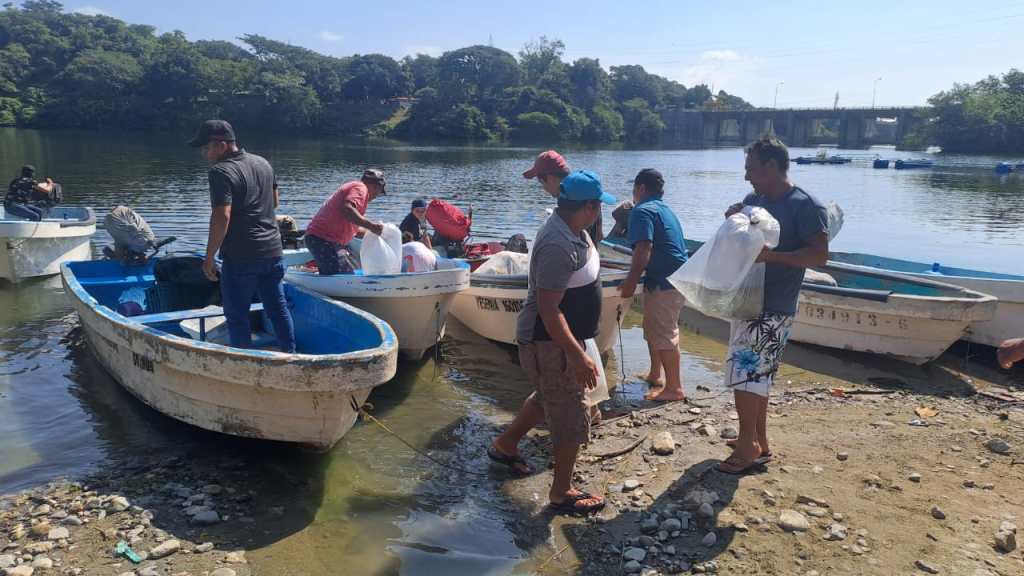 Autoridaded siembran 100 mil crías de tilapia en presa La Villita